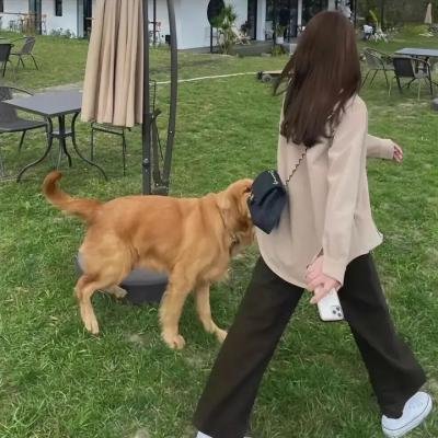 福斯特医生第一季